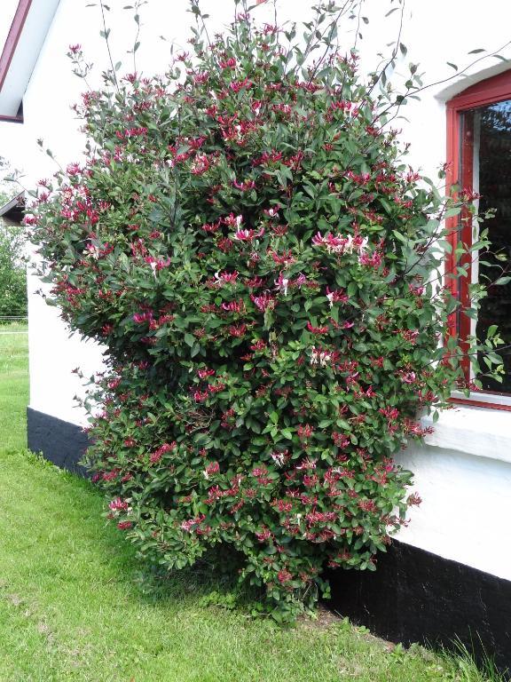 Sondergard Holiday House Uggerby Bagian luar foto